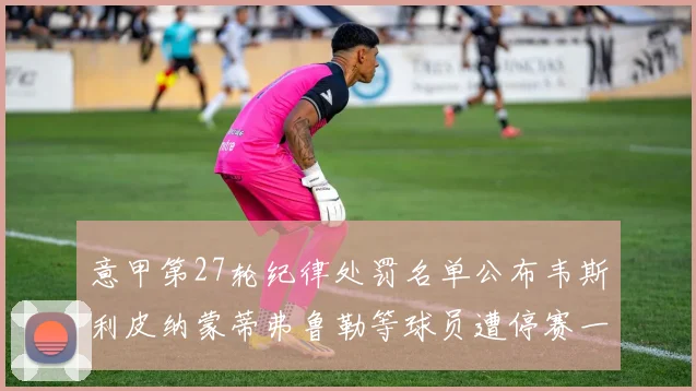 意甲第27轮纪律处罚名单公布韦斯利皮纳蒙蒂弗鲁勒等球员遭停赛一轮