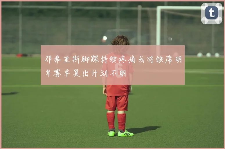 邓弗里斯脚踝持续疼痛或将缺席明年赛季复出计划不明