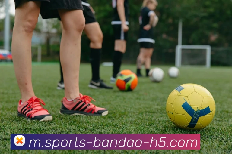 半岛体育平台生态图