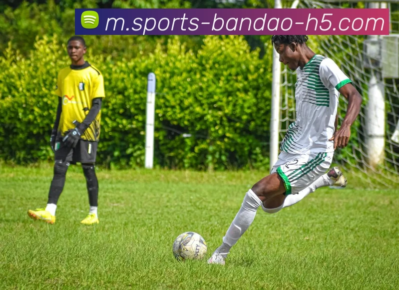 半岛体育全站App